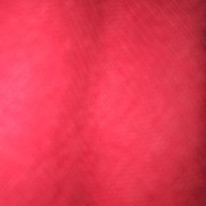 Meet your Posher, Ethan